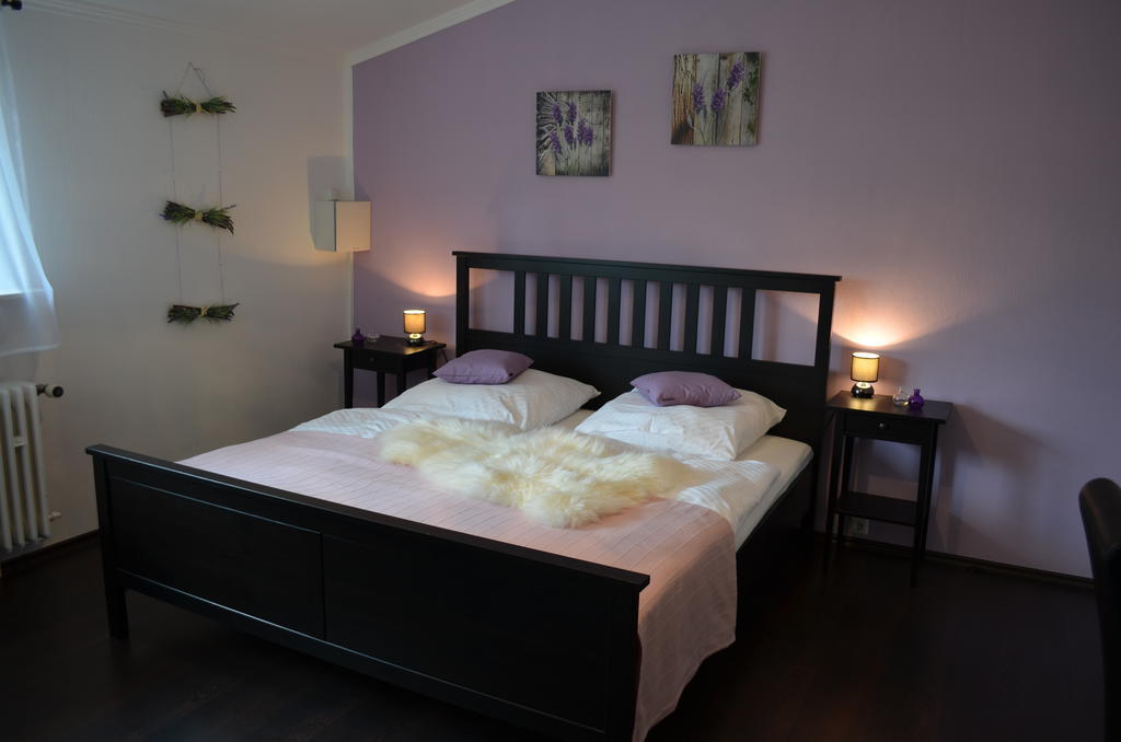 Wolfschlucht Hotel Rodgau Szoba fotó